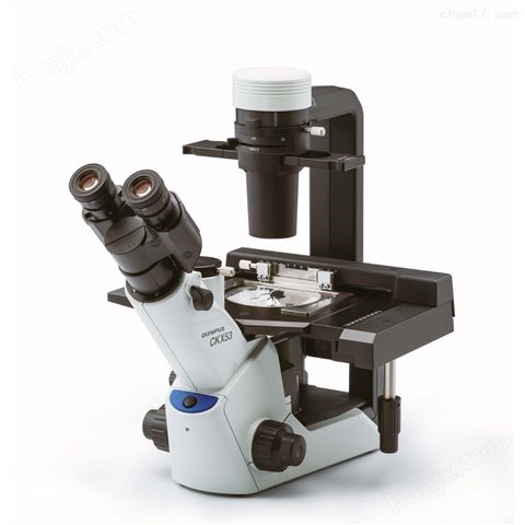 全自动倒置显微镜多少钱