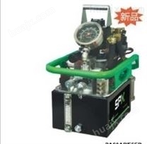 SPX (派尔迪)powerteam电动液压泵PE21系列