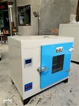 101-0FD程控电热恒温鼓风干燥箱 高温烘干箱