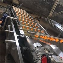 新疆杏子清洗机流水线 杏子加工设备