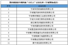 宁波塑料协会16家企业入选国家级专精特新“小巨人”企业（第四批）