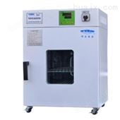 DNP-9162 电热恒温培养箱