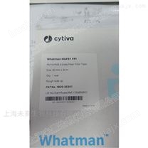 沃特曼Cytiva PM2.5玻璃纤维滤纸带