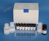 人纤调蛋白（fibromodulin）ELISA试剂盒