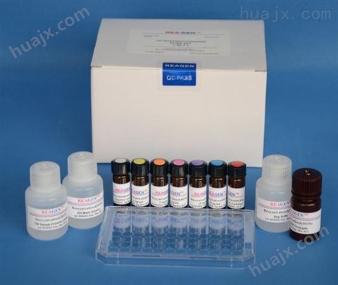 人抗着丝点抗体（ACA/CENP）ELISA试剂盒