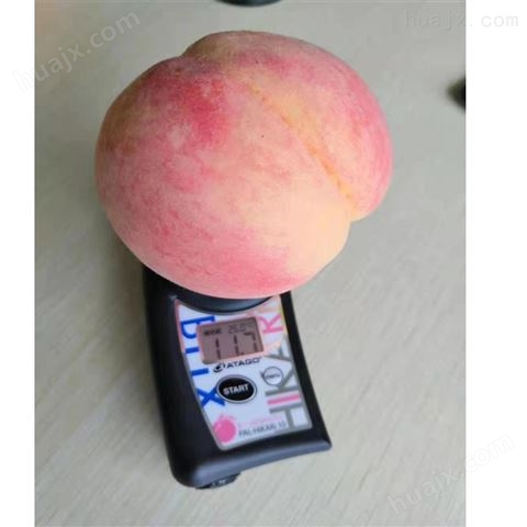 ATAGO水果无损糖度计 桃子糖度快速检测仪