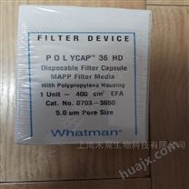 GE Whatman Polycap HD高强度囊式滤器5.0um